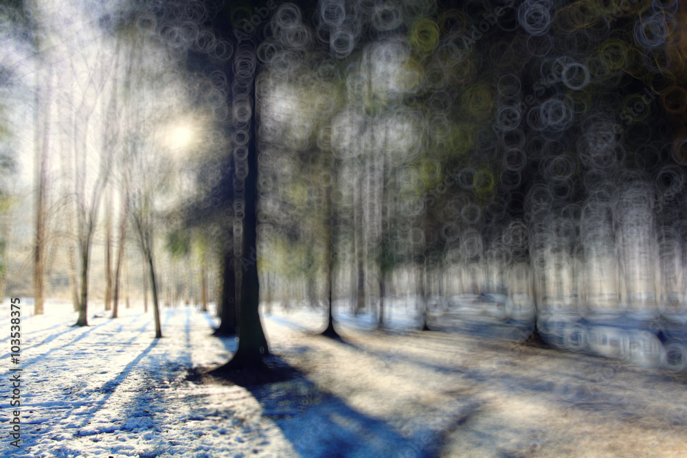 Obraz premium blurred background early winter