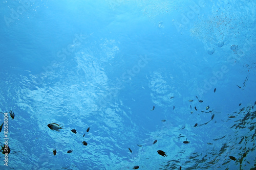 Texture sea water underwater © kichigin19