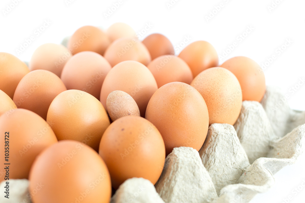 Eggs in tray on white background Eggs in tray on white background