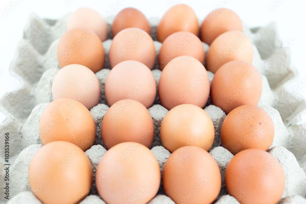 Eggs in  tray  on white background