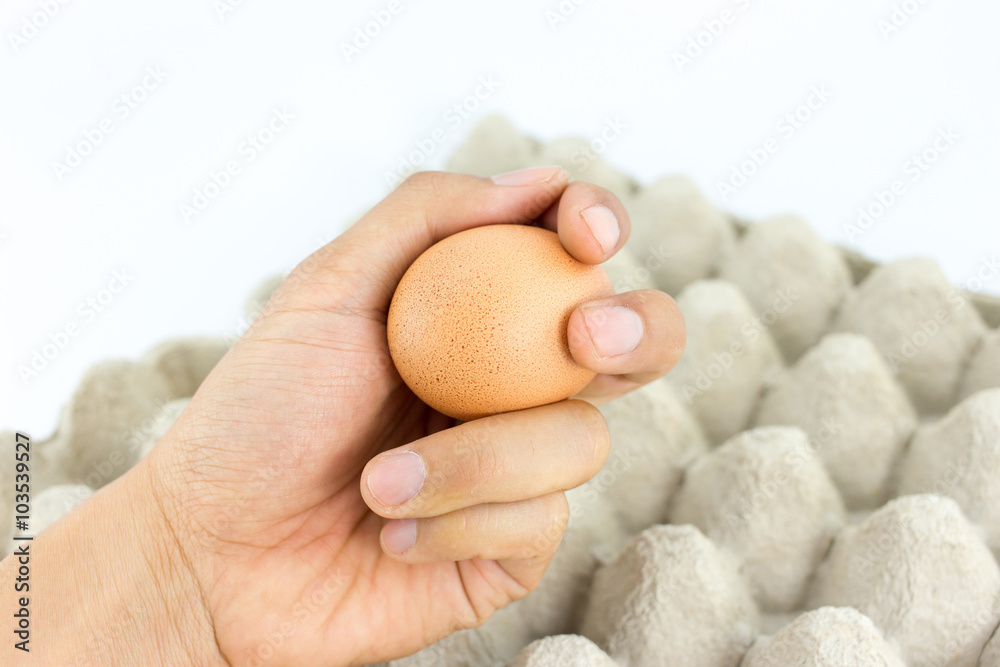 Eggs in tray on white background Eggs in tray on white background