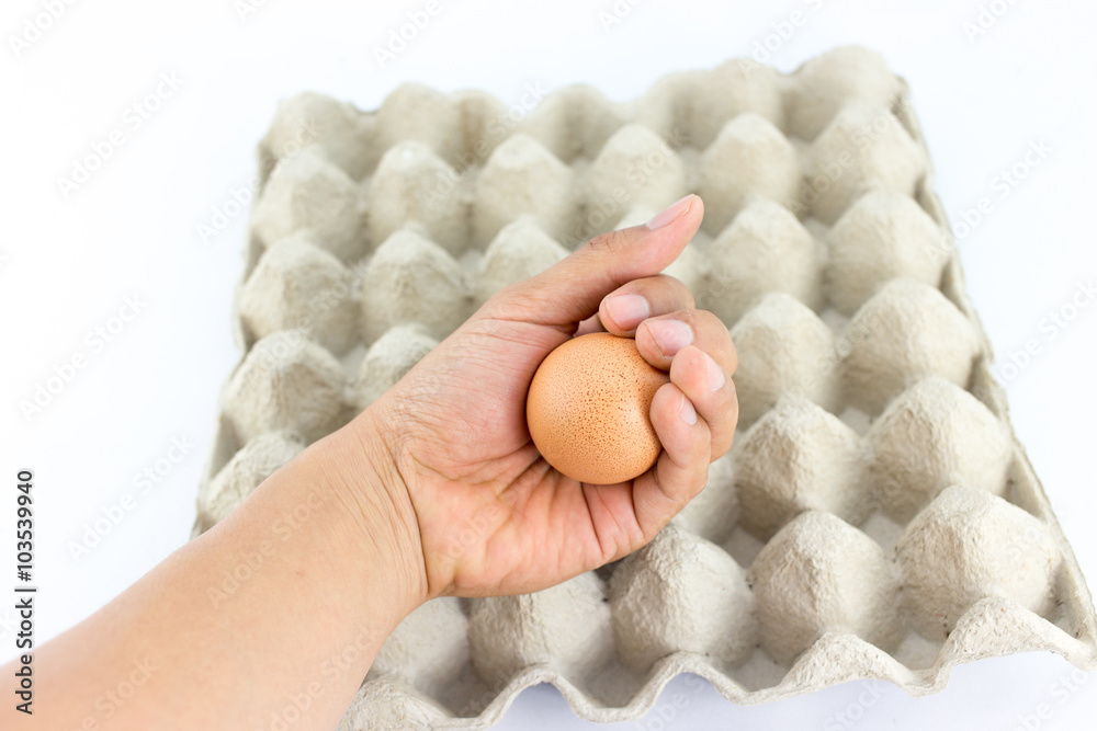 Eggs in tray on white background Eggs in tray on white background