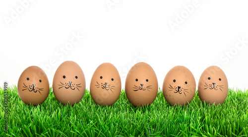 Canvas Print Cute bunnies easter eggs in green grass. Funny decoration