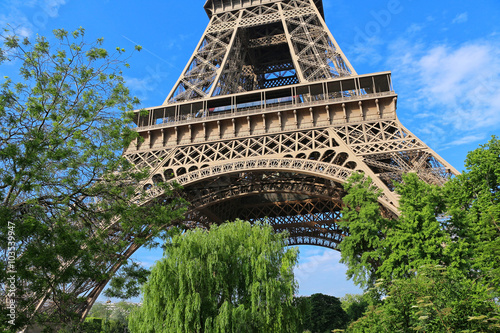 Tour Eiffel au dessus des arbres