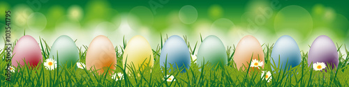 Osterwiese mit bunten Ostereiern - Hintergrund