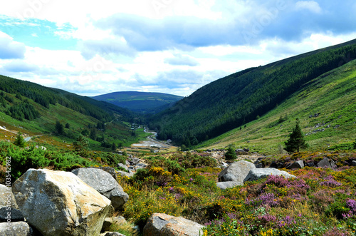 Glacial valley with rock outcrops, plants and flowers, woods and a river in County Wicklow, Ireland.
