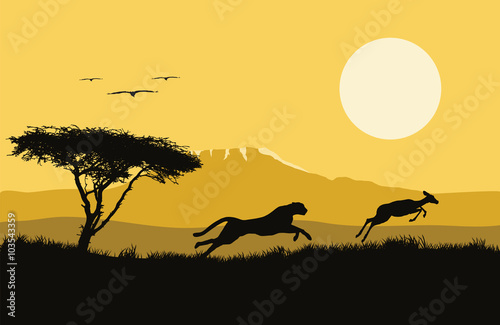 Vector illustration of africa. wild life. hunting. africa logo. Jaguar and antelope. © michaelrayback