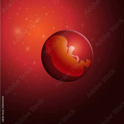 vector illustration of embryo, germ design, baby, fetus concept, nucleus, life