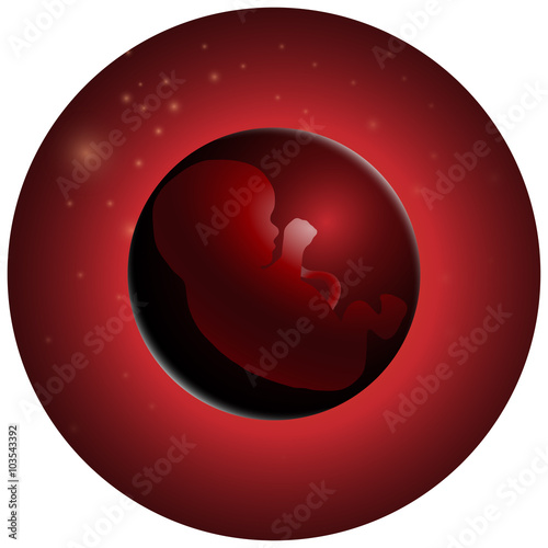vector illustration of embryo, germ design, baby, fetus concept, nucleus, life