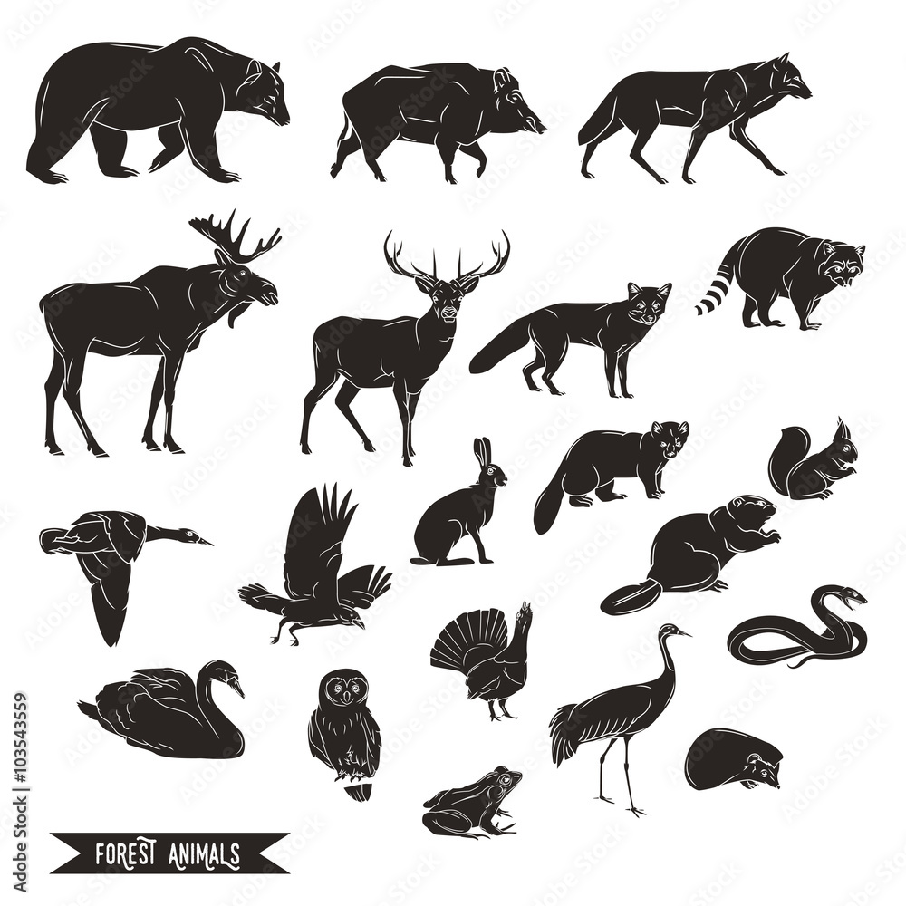 Obraz premium Forest animals silhouettes vintage. Vector illustration