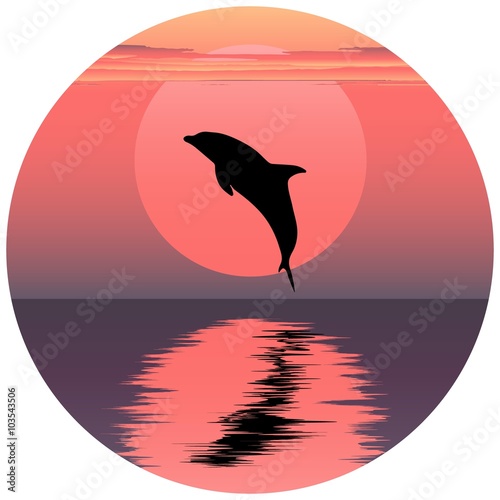 Vector illustration of dolphin. Jumping dolphin. Dolphin at sunset. Dolphin at sunrise. Dolphin reflected in water. Ocean animal. Sea friend of humans.