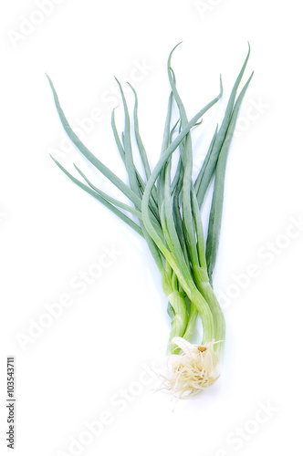 Spring onions on white background