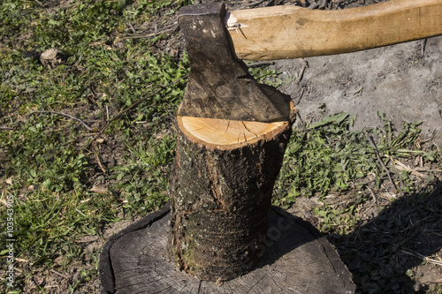 ax chopping logs