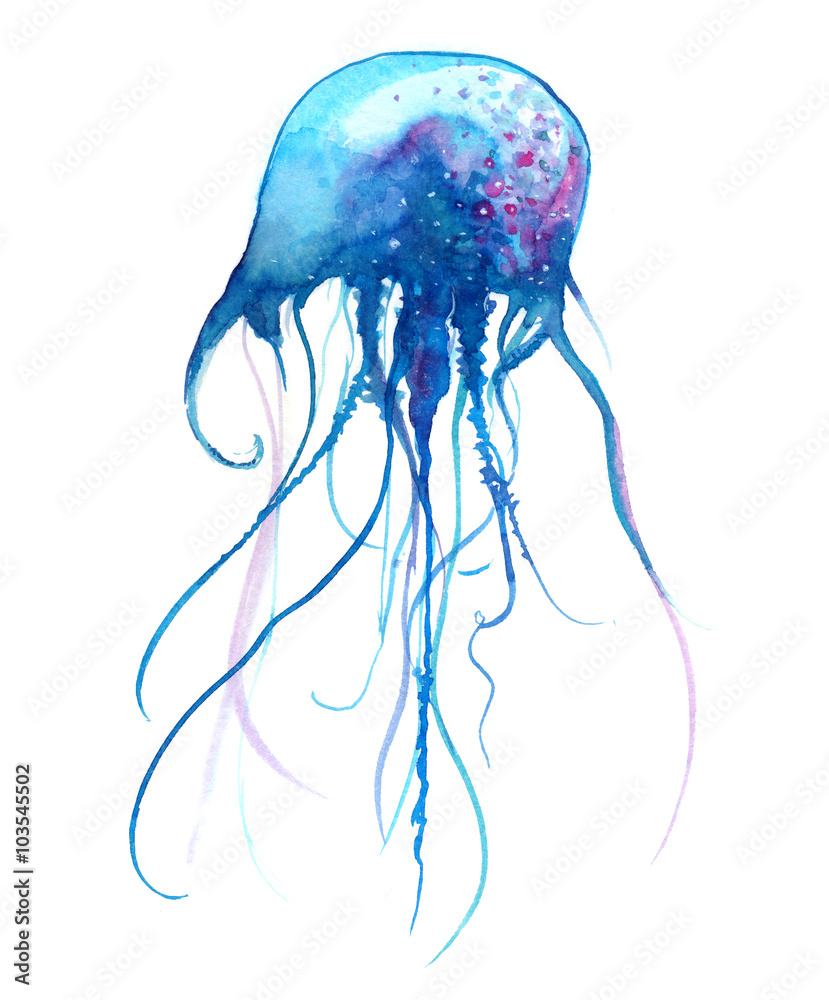 Fototapeta premium Akwarela ilustracja meduza. Malowane meduzy na białym tle na białym tle, podwodna przyroda.