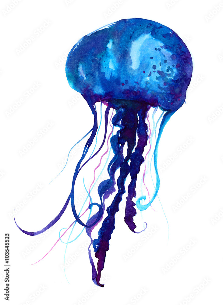 Obraz premium Jellyfish watercolor illustration. Painted medusa isolated on white background, underwater wildlife.