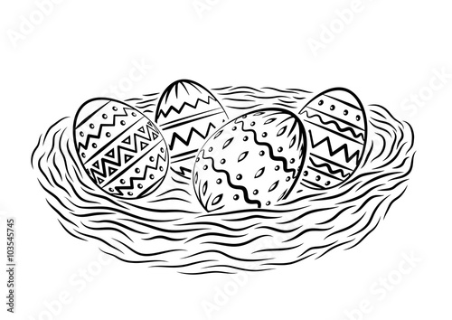 Eggs in nest
