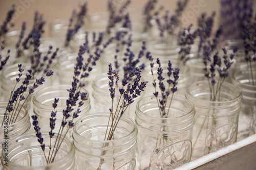 Fototapeta Naklejka Na Ścianę i Meble -  lavender in glass jar flower photo