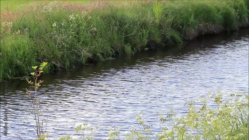 landscape little river, slowly flowing water
landscape little river, slowly flowing water