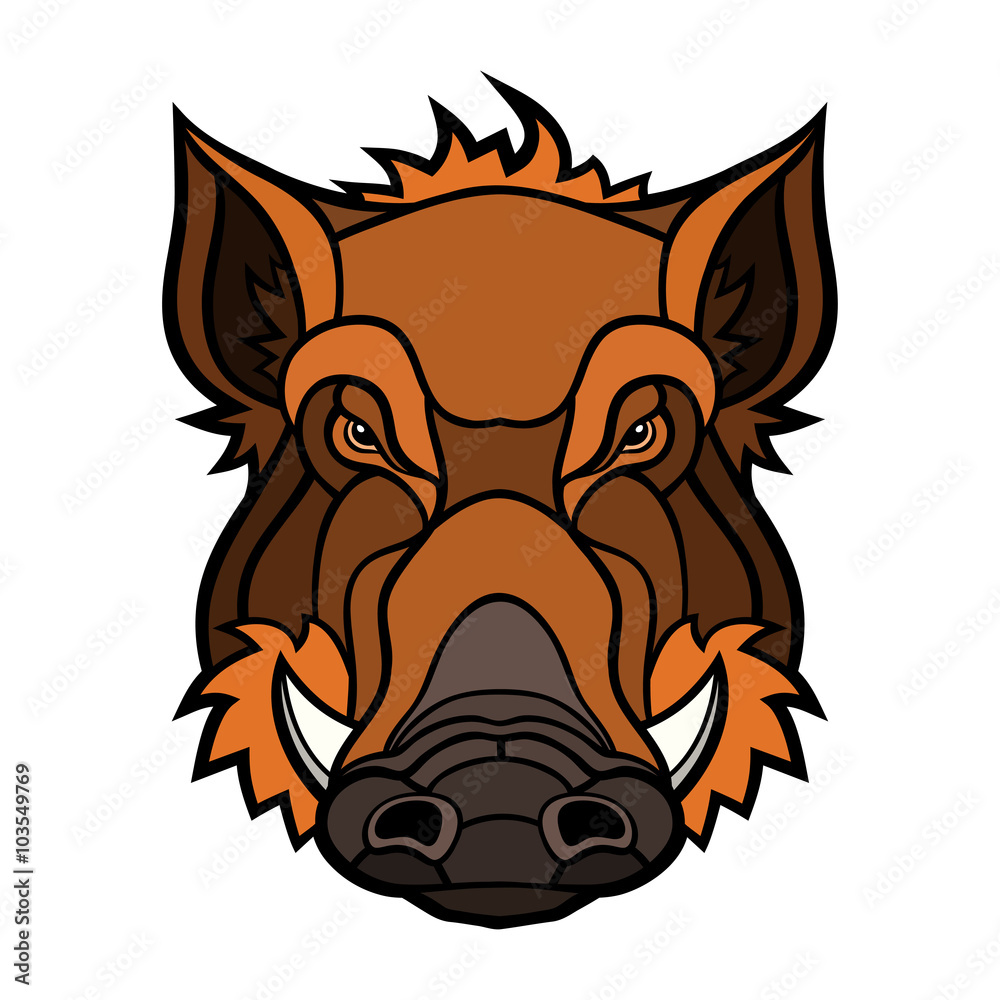 Head of boar mascot color design