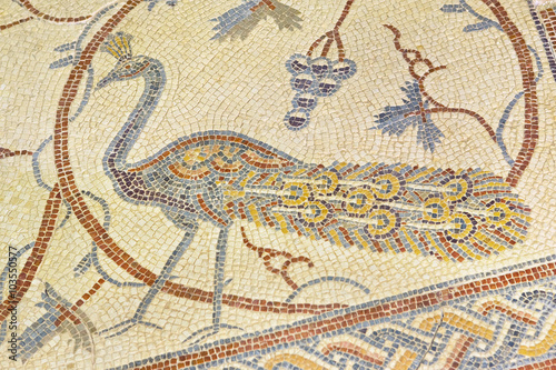 Jordan. Mount Nebo - Khirbet al Mukhayyat. Fragment of floor mosaic from the Church of Preacher John - bird detail