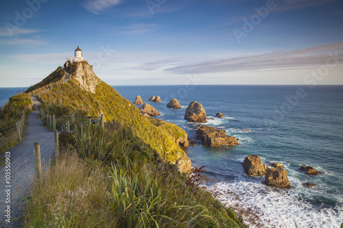 Nugget Point Catlins Neuseeland photo