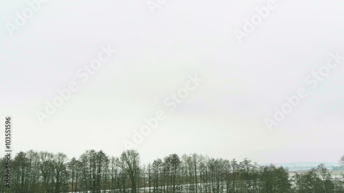 Wallpaper Mural Winter landscape - falling snow over little grove of frosty trees. Torontodigital.ca