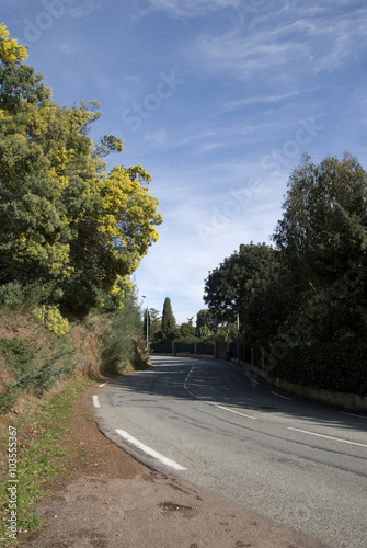 La Route du Mimosa