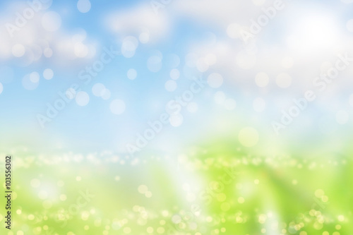 Spring or summer blurred nature background with grass.