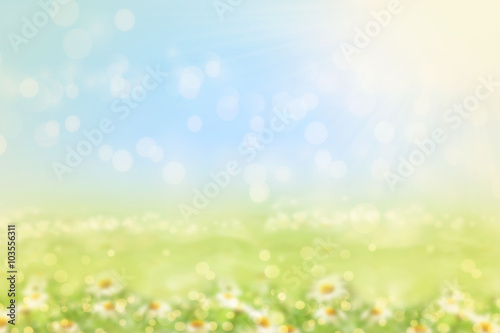 Obraz na płótnie Spring or summer blurred nature background with grass. w salonie