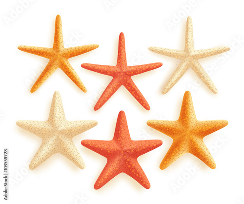 Fotografia 3D Realistic Set of Vector Starfish with Different Colors for Summer Design Elements Isolated in White Background