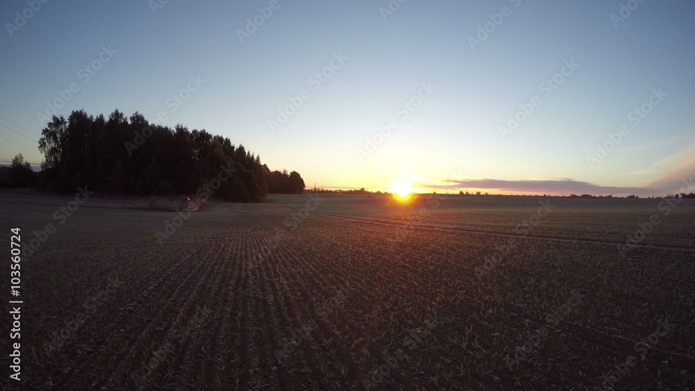 Landscape with sunrise on young wheat field in early autumn's morning by the forest, time lapse 4K Landscape with sunrise on young wheat field in early autumn's morning by the forest, time lapse 4K