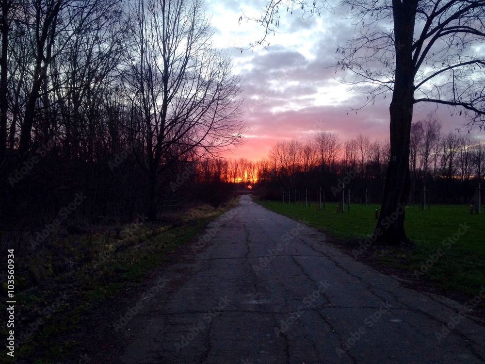 Road leading to sunset