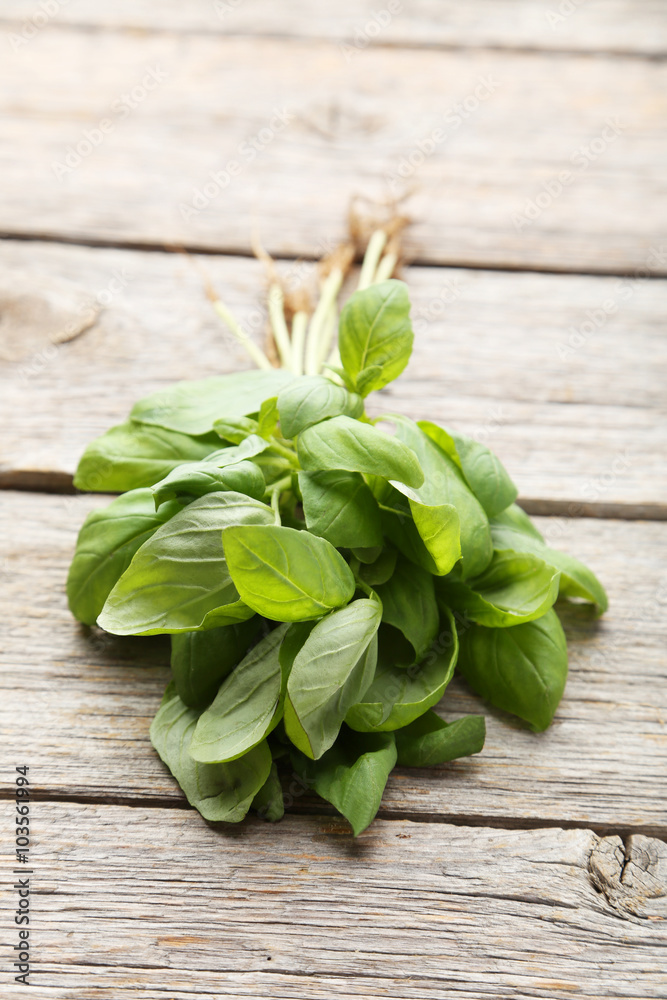 Basil leaves on grey wooden background Basil leaves on grey wooden background