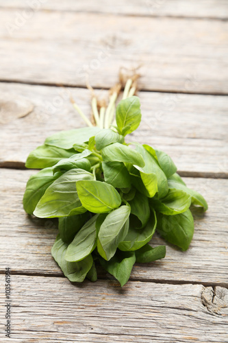 Basil leaves on grey wooden background