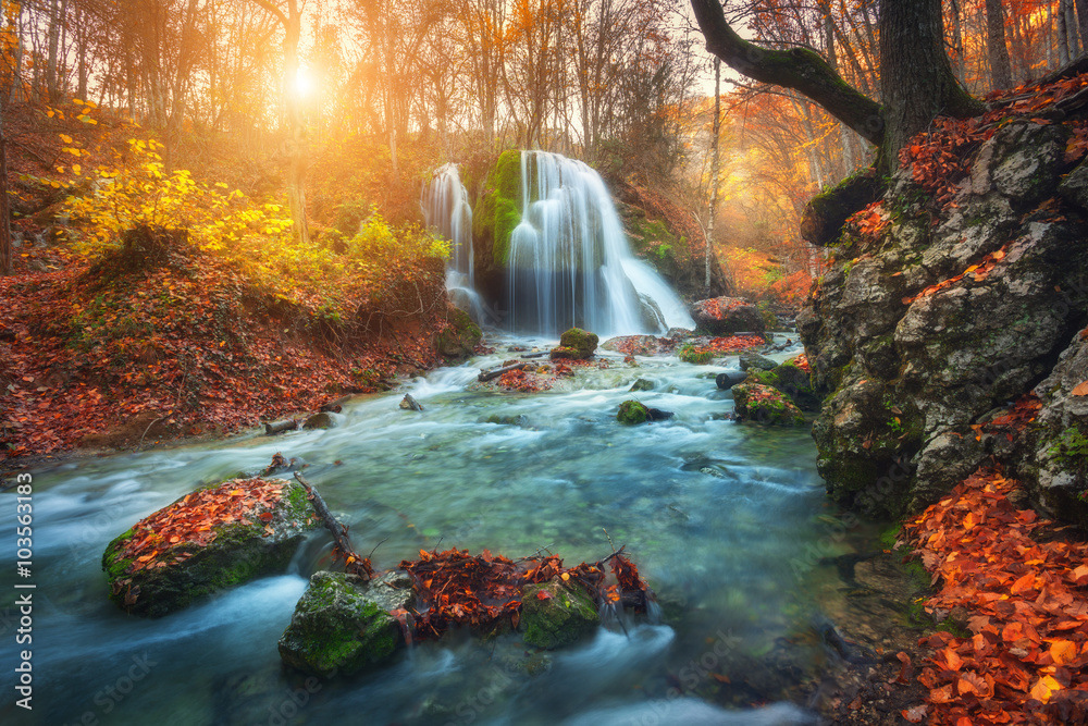 Obraz premium Piękny wodospad na górskiej rzece w kolorowym lesie jesienią z czerwonymi i pomarańczowymi liśćmi o zachodzie słońca. Krajobraz przyrody