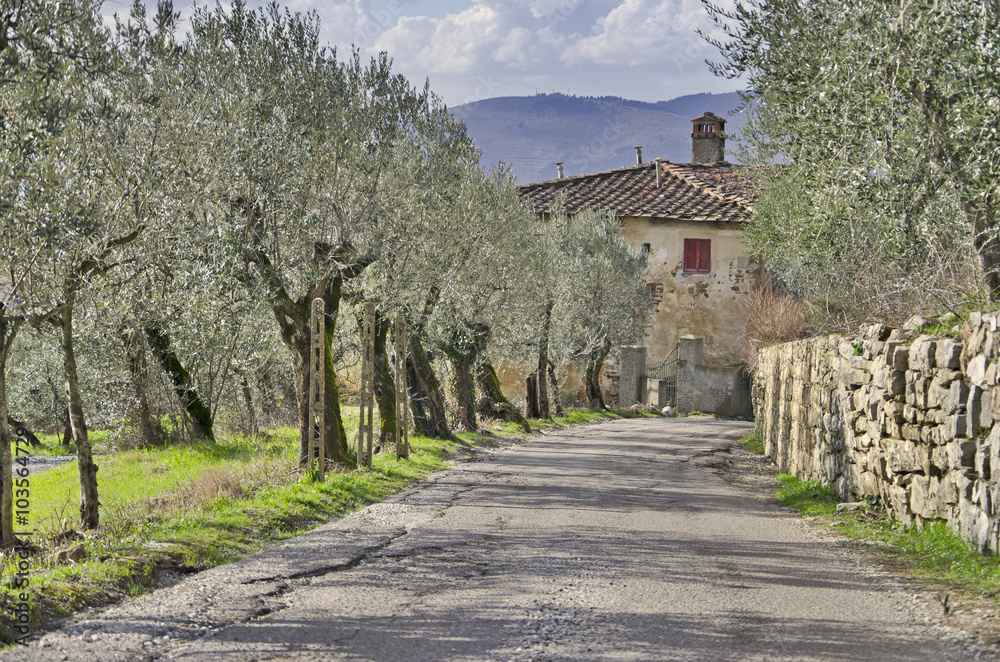 Tuscany country house Road