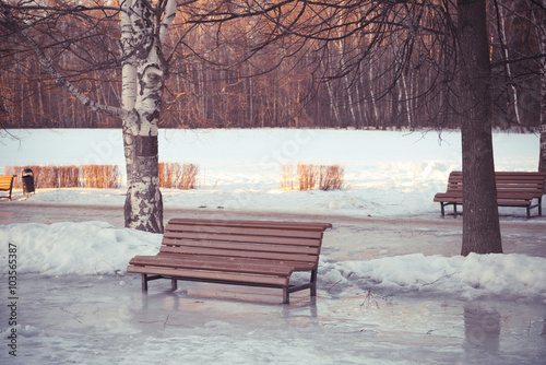 bench on the iced path in the park