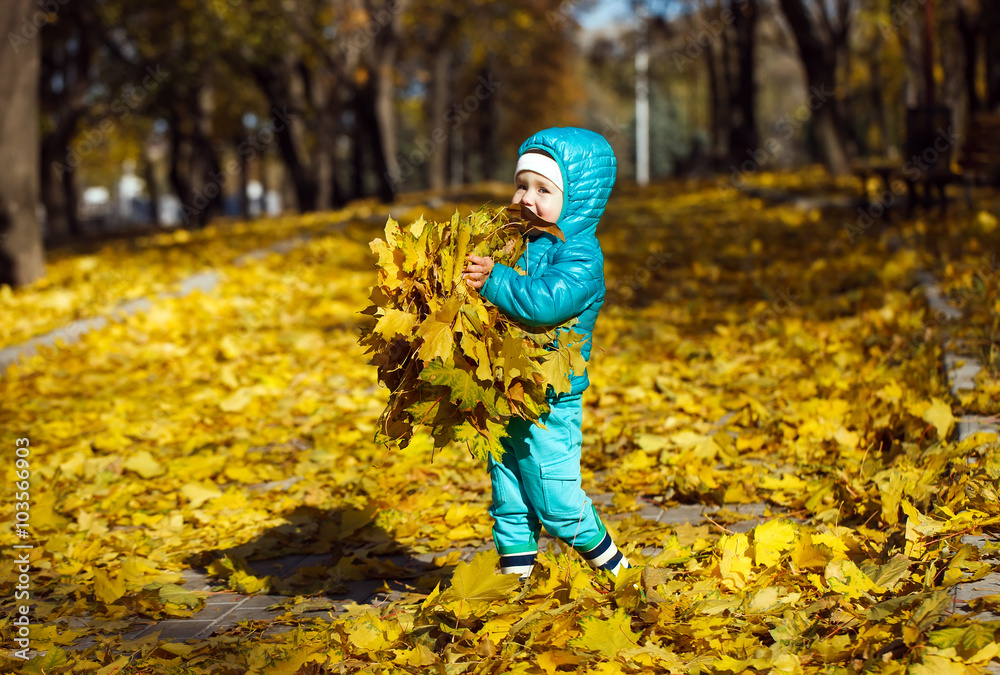 little girl throwing autumn leaves little girl throwing autumn leaves