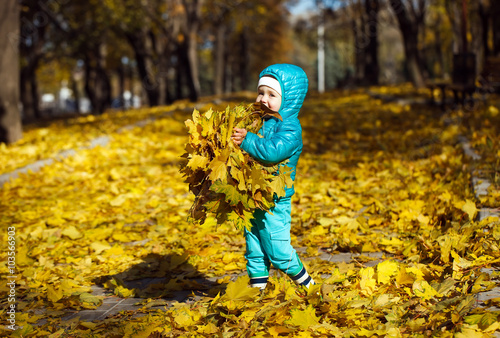 little girl throwing autumn leaves