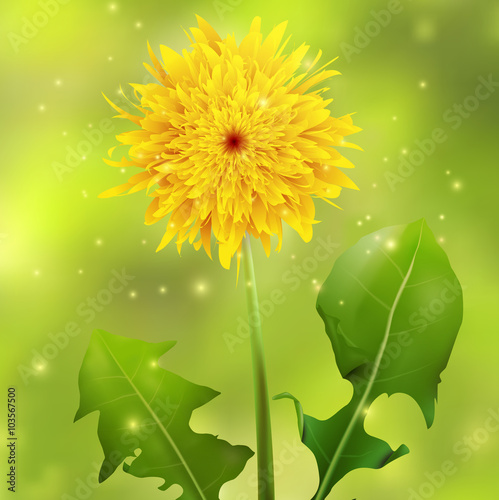 Dandelion on a green blurred background with sparkles, vector illustration.