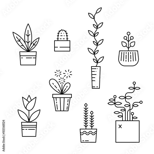 Line house plants icon set