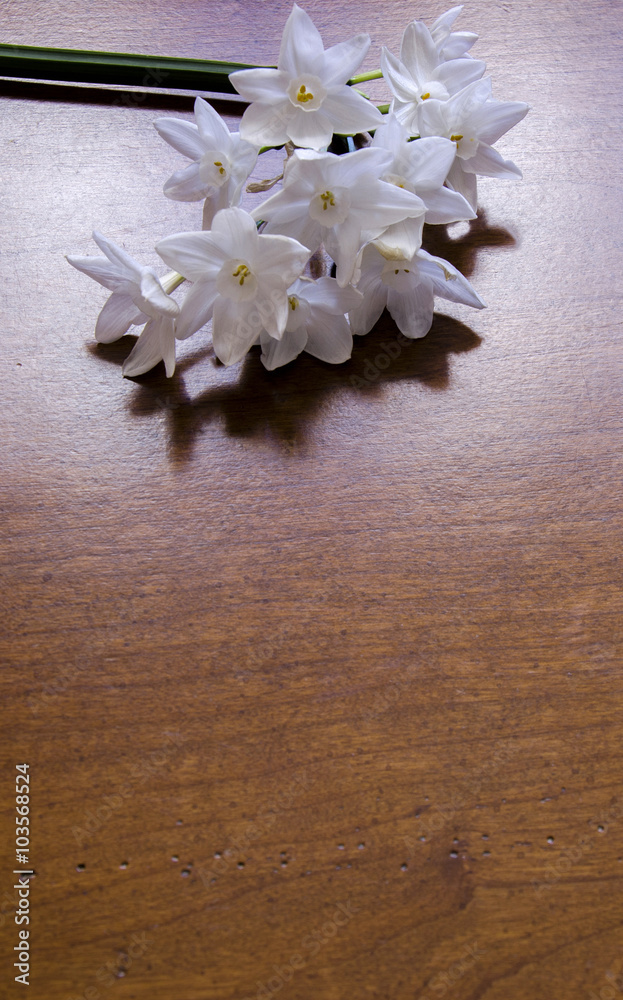 Fototapeta premium Paper White Flowers on Wood