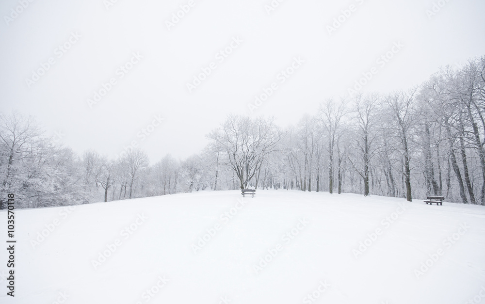 Fototapeta premium Nice winter scene