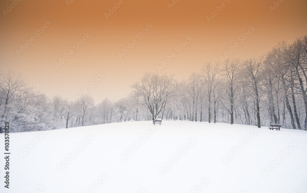 Nice winter scene Nice winter scene