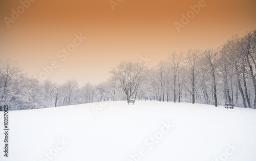 Nice winter scene © Horváth Botond