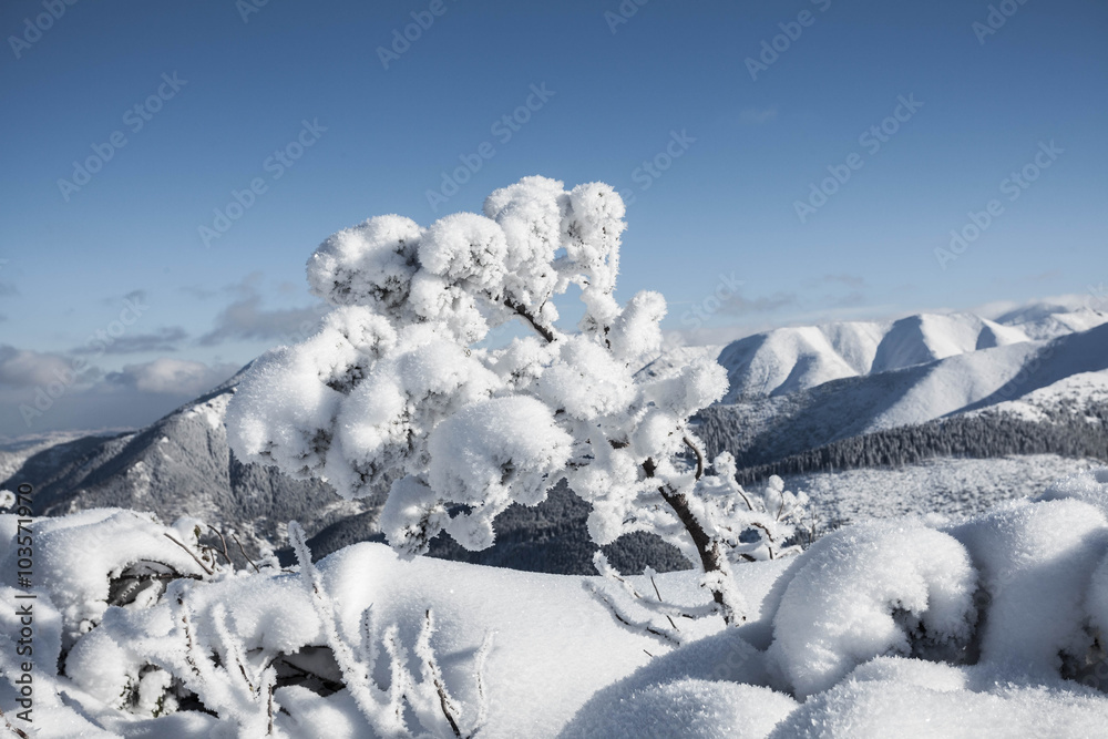 Tatry zachodnie zimą