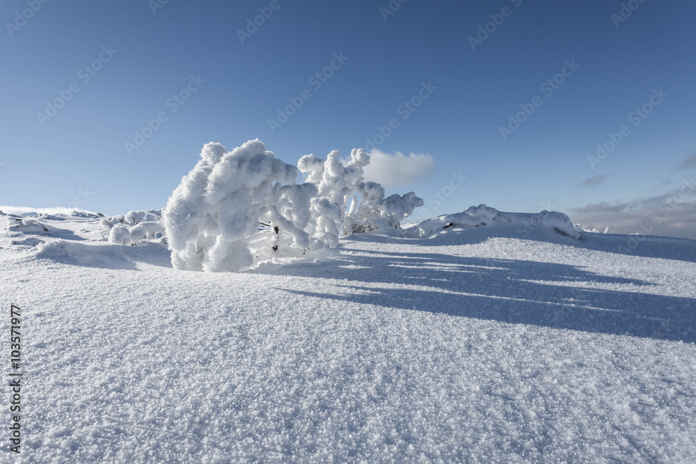Tatry zachodnie zimą