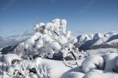 Tatry zachodnie zimą