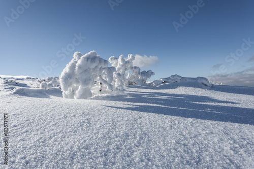Tatry zachodnie zimą