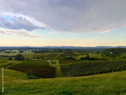 Panorama of hunter valley in NSW